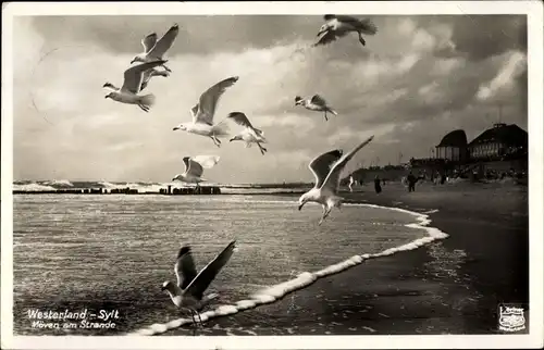 Ak Westerland auf Sylt, Möwen am Strand