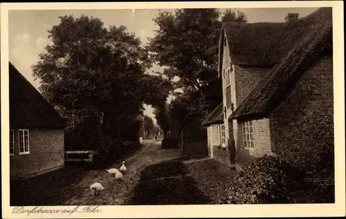 Ak Föhr in Nordfriesland, Dorfstraße