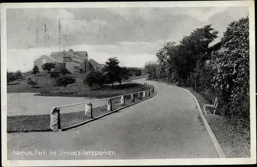 Ak Århus Aarhus Dänemark, Parti fra Universitetsparken