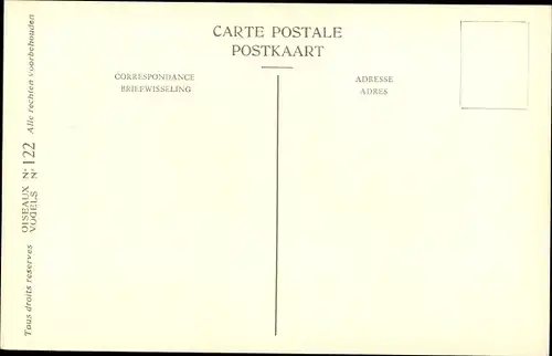 Künstler Ak Dupond, Hub., Aigle criard, Bastaardarend, Nr. 122