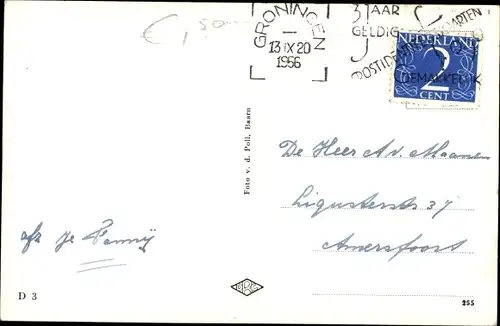 Ak Hundewelpe, Portrait