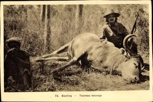 Ak Banting, Taureau sauvage, Jäger mit erlegtem Stier