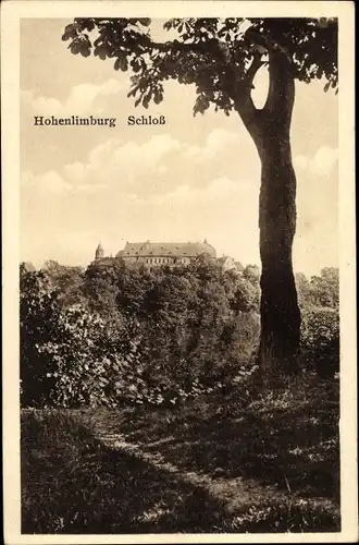 Ak Hohenlimburg Hagen Ruhrgebiet, Schloss, Baum