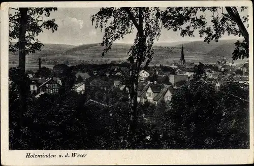 Ak Holzminden an der Weser, Panorama