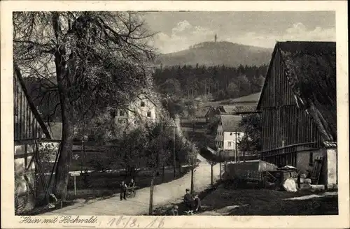 Ak Oybin Hain Sachsen, Straßenpartie mit Blick auf Hain mit Hochwald