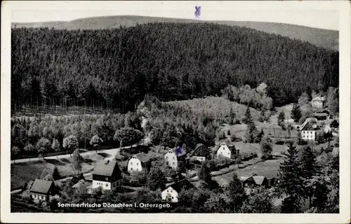 Ak Dönschten Dippoldiswalde Osterzgebirge, Sommerfrische, Teilansicht