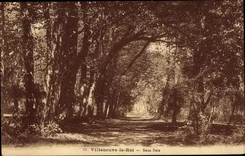 Ak Villeneuve le Roi Val de Marne, Sous-Bois