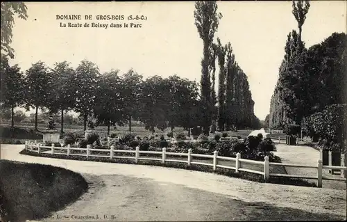 Ak Villecresnes Val-de-Marne, Domaine de Gros-Bois, Route de Boissy dans le Parc