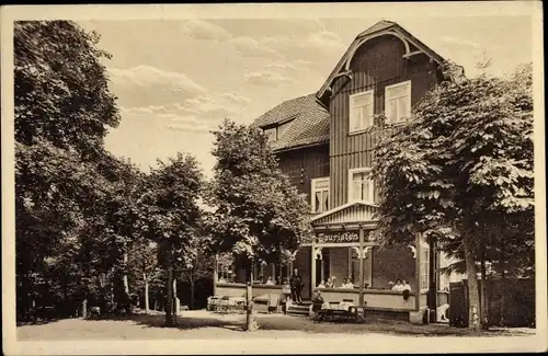 Ak Benneckenstein Oberharz, Hotel Waldhaus