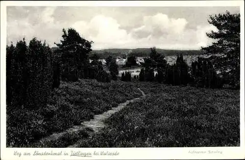 Ak Tietlingen Walsrode im Heidekreis, Weg am Lönsdenkmal