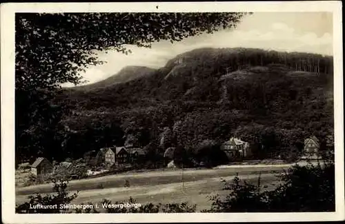 Ak Steinbergen Rinteln in Niedersachsen, Teilansicht, Wald