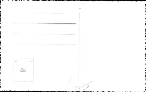 Ak Katze, langes Fell, Portrait