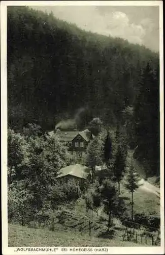 Ak Hohegeiß Braunlage im Oberharz, Blick auf die Wolfsbachmühle, Wald