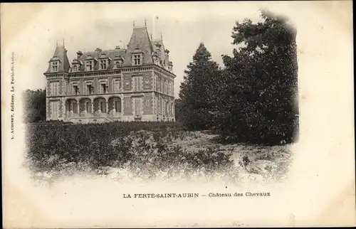 Ak La Ferté Saint Aubin Loiret, Le Château des Chevaux