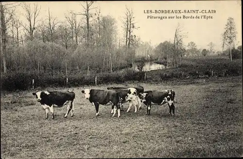 Ak Les Bordeaux Saint Clair Eure, Pâturages sur les Bords de l´Epte