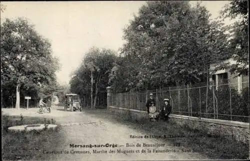 Ak Morsang sur Orge, Bois de Beauséjour