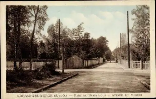Ak Morsang sur Orge, Parc de Beauséjour