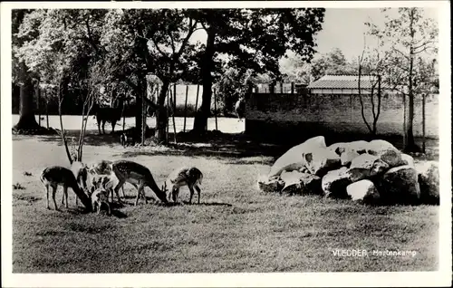 Ak Vledder Drenthe, Hartenkamp