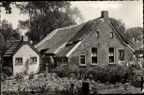 Ak Diever Drenthe Niederlande, B. v. Oslaan