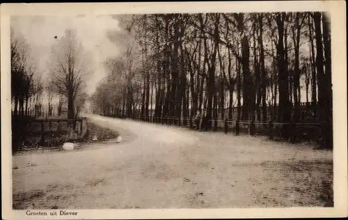 Ak Diever Drenthe Niederlande, Dorpsgezicht