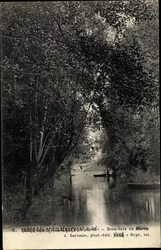 Ak Iles les Villenoy Seine et Marne, Sous-Bois en Marne