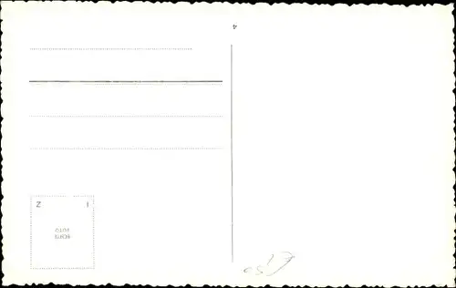 Ak Katze mit langem Fell, Portrait