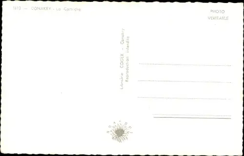 Ak Conakry Guinea, La Corniche