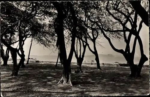 Ak Conakry Guinea, La Corniche et les iles de Los