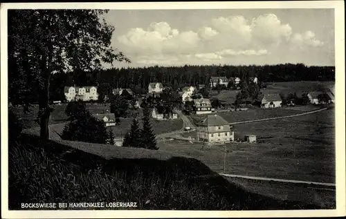Ak Hahnenklee Bockswiese Goslar im Harz, Panorama