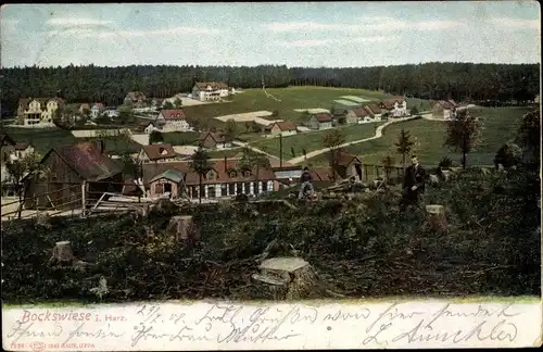 Ak Hahnenklee Bockswiese Goslar im Harz, Panorama