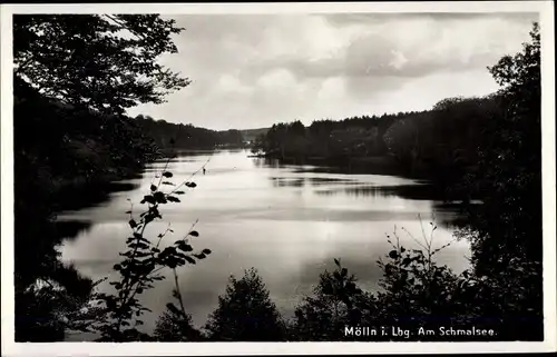 Ak Mölln im Herzogtum Lauenburg, Am Schmalsee