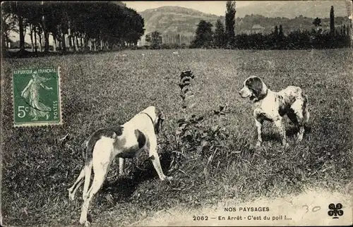 Ak Nos Paysages, En Arret, Zwei Hunde, Landschaft