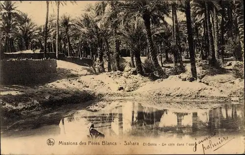 Ak Sahara Afrika, El Golea, Un coin dans l'oasis