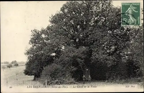 Ak Les Breviaires Yvelines, Le Chene de la Voute