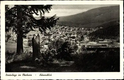 Ak Braunlage im Oberharz, Panorama vom Adamsblick
