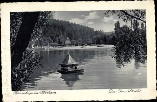 Ak Braunlage im Oberharz, Gondelteich
