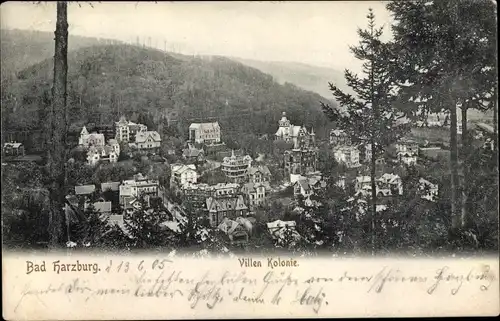 Ak Bad Harzburg am Harz, Villenkolonie