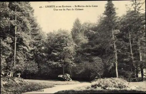 Ak Lisieux Calvados, Parc du Château de Saint Martin de la Lieue