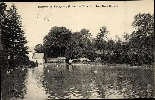 Ak Tavers Loiret, Les Eaux Bleues