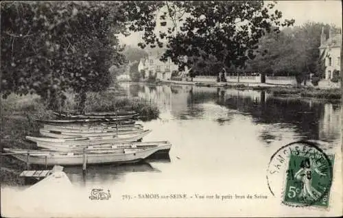 Ak Samois sur Seine Seine et Marne, Vue sur le Petit Bras de la Seine