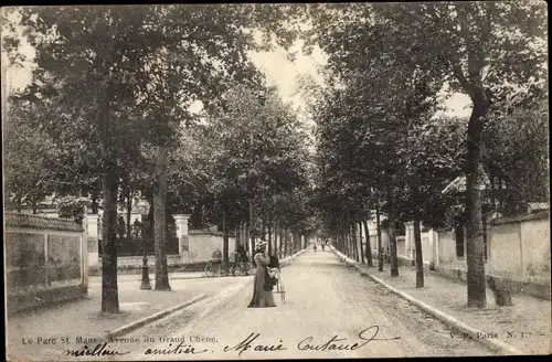 Ak Saint Maur Val de Marne, Avenue du Grand Chêne, Le Parc