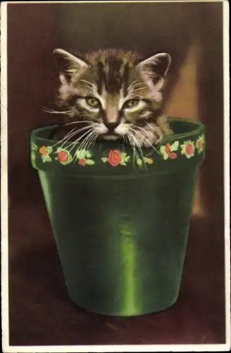 Ak Kleine Katze in einem Blumentopf