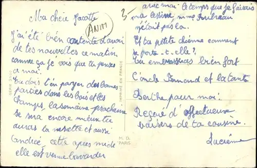 Ak Kleine Katze in einem Blumentopf