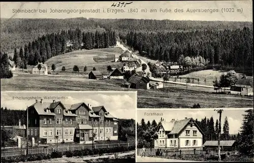 Ak Steinbach Johanngeorgenstadt im Erzgebirge, Erholungsheim Waldfrieden, Forsthaus, Panorama