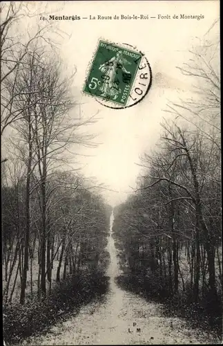 Ak Montargis Loiret, La Route de Bois le Roi