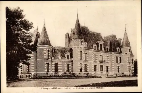 Ak Ligny le Ribault Loiret, Chateau de Vieux Malsons