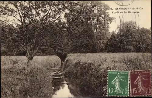 Ak Elancourt Yvelines, Forêt de la Marquise