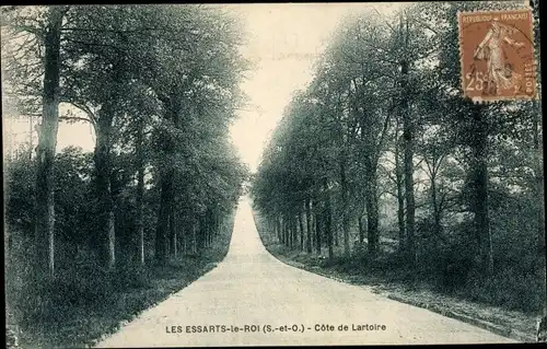 Ak Les Essarts le Roi Yvelines, Côte de Lartoire