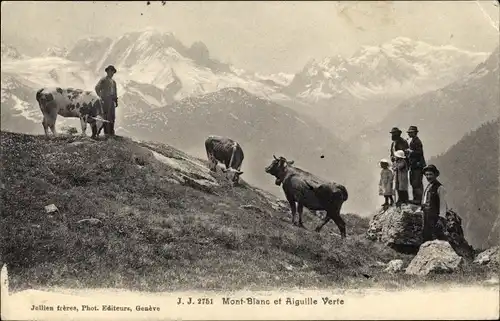 Ak Mont Blanc Haute Savoie, Aiguille Verte, Berglandschaft