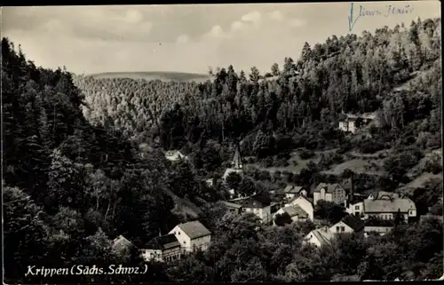 Ak Krippen Bad Schandau Sächsische Schweiz, Panorama